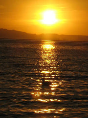 =